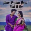 About Mor Pachu Jhan Pad N Re Song